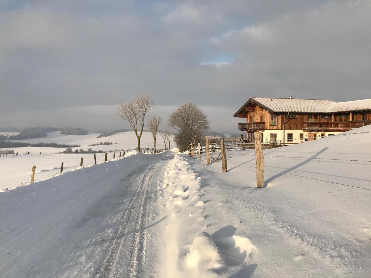 Chalet Bergliebe Brilon Extérieur photo